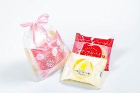 ���̿��������ۥ��ץ�󥰥ץ����ե�