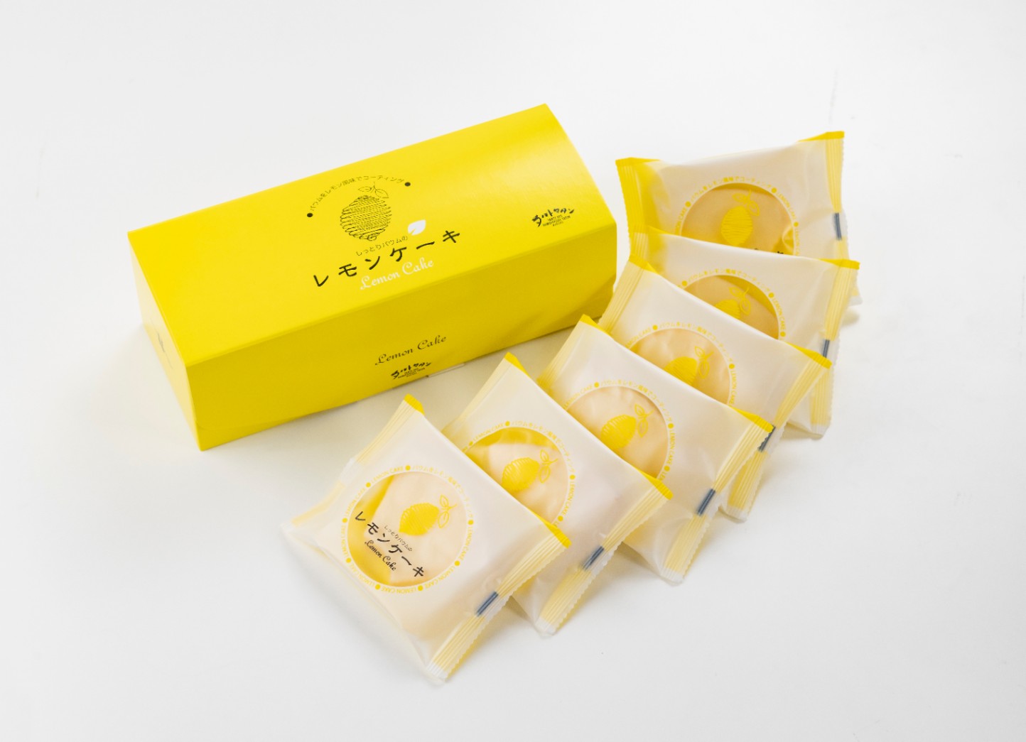 ���󥱡�����6������