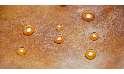 ������֥� �ץ��ƥ��ƥ��֥��ץ졼