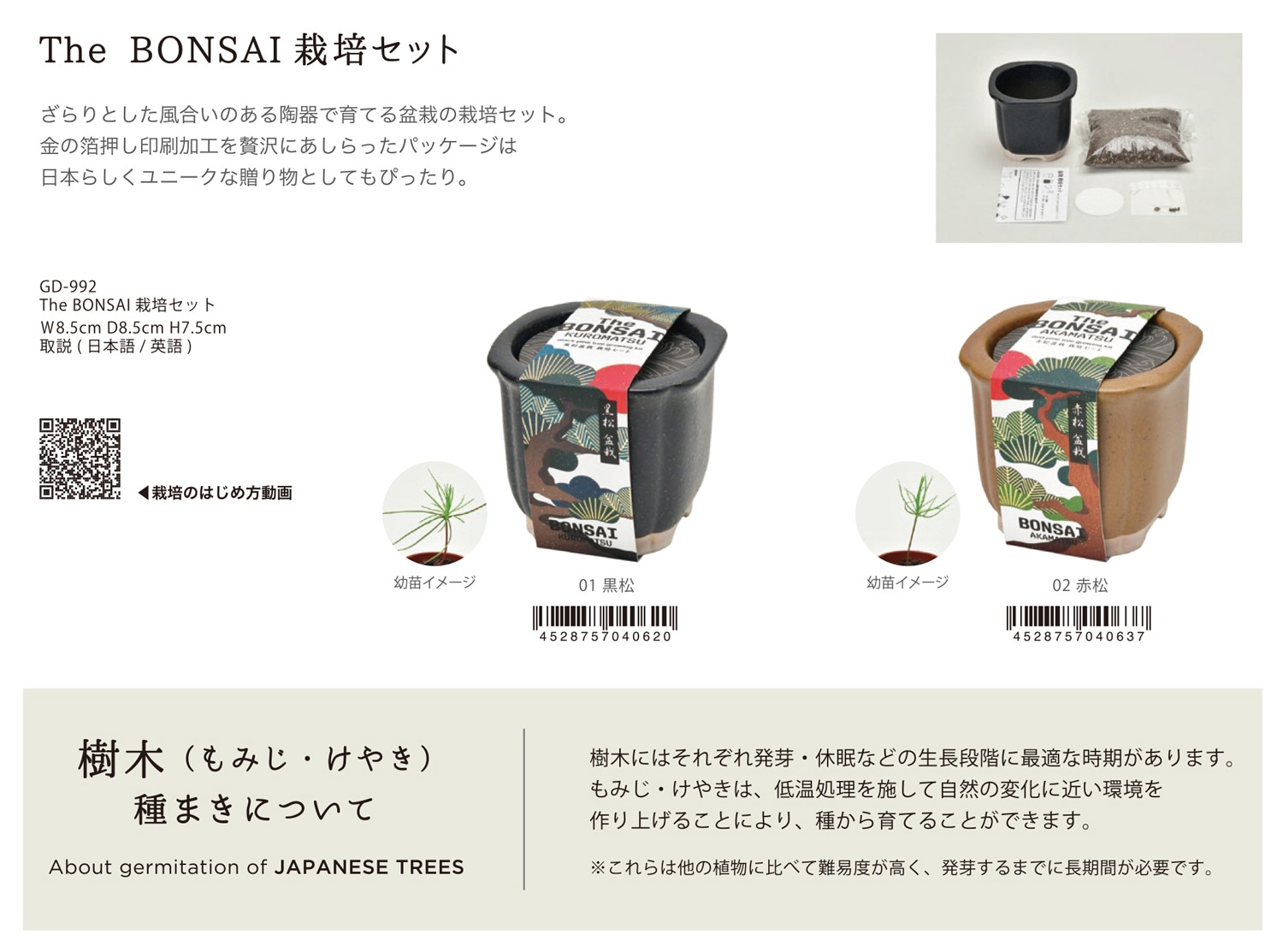 【大品　赤松盆栽】売約済　　　　⭕9/9到着指定、専用❗ The BONSAI 栽培セット（36個入） | その他（Other） | TOYS