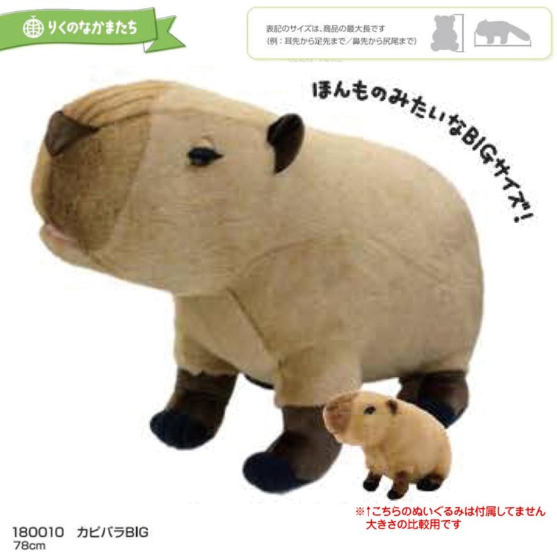 りくのなかまたち」カピバラ BIG ぬいぐるみ（2個入） | ぬいぐるみ