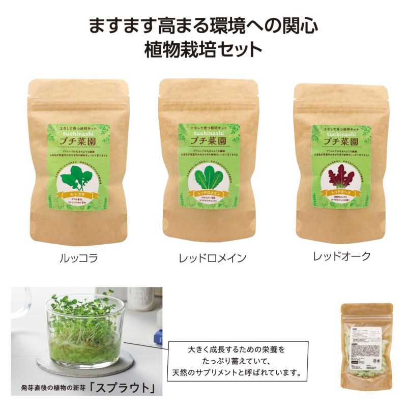 土なしプチ菜園栽培セット（90個入） | その他（Other） | TOYS VENDOR