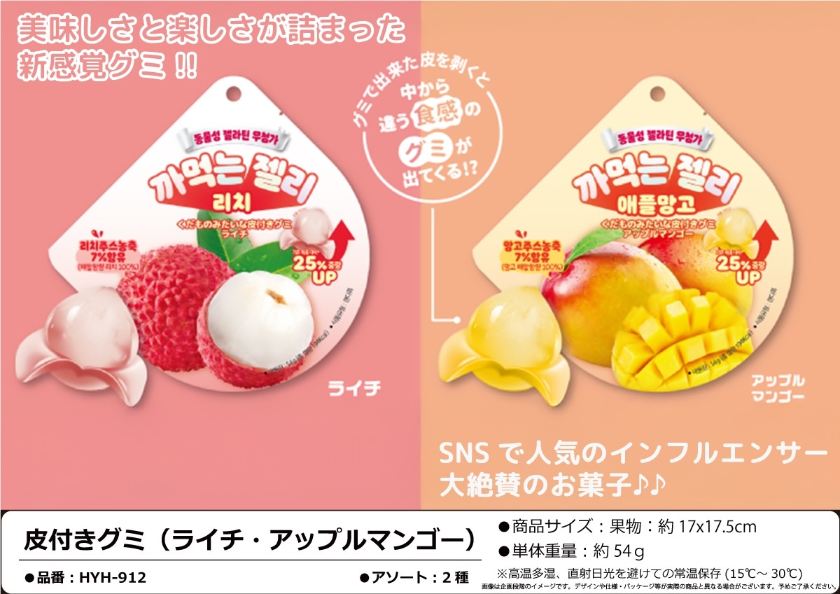 専用 マンゴーライチ 贈答用 マンゴーライチセット – 岡宗農園メリーガーデン