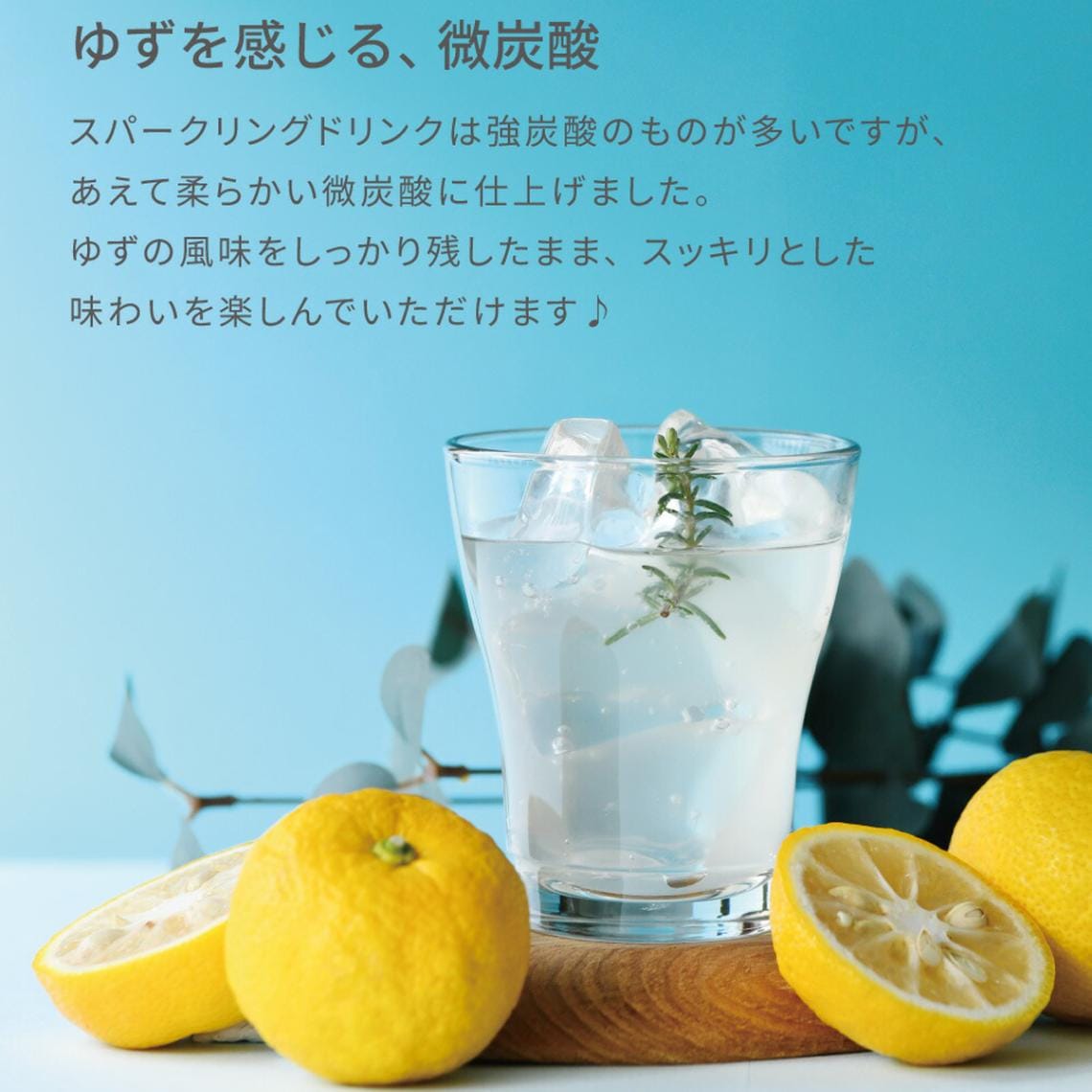 ゆずスパークリング/抹茶スパークリング（240個入） | 飲料（drink