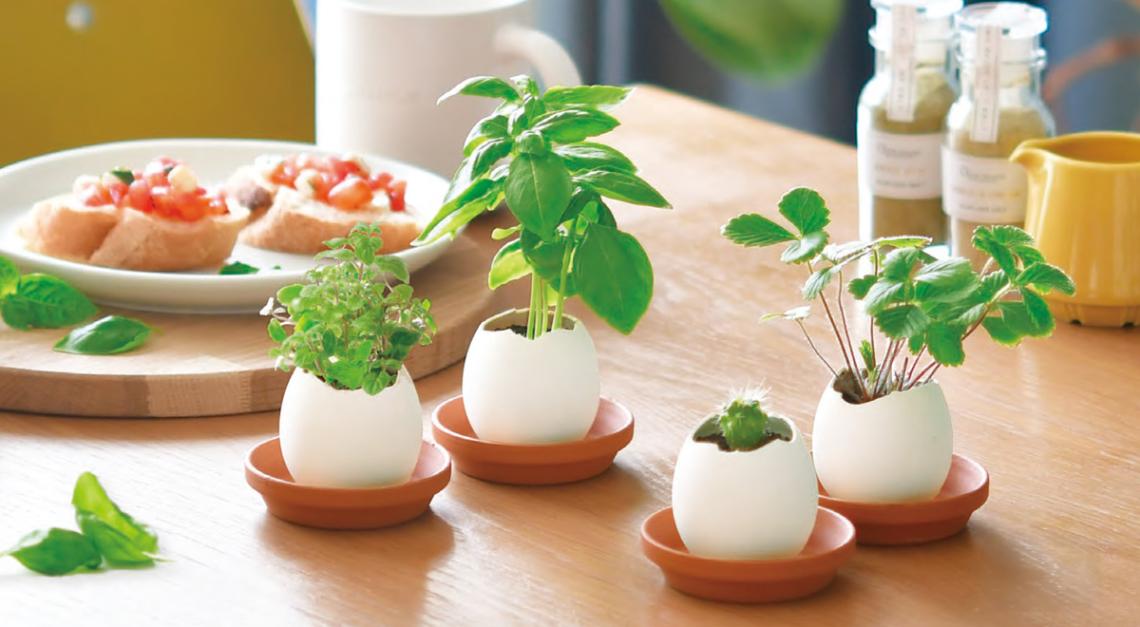 受け皿 テラコッタ（144個入） | その他（Other） | TOYS VENDOR JAPAN