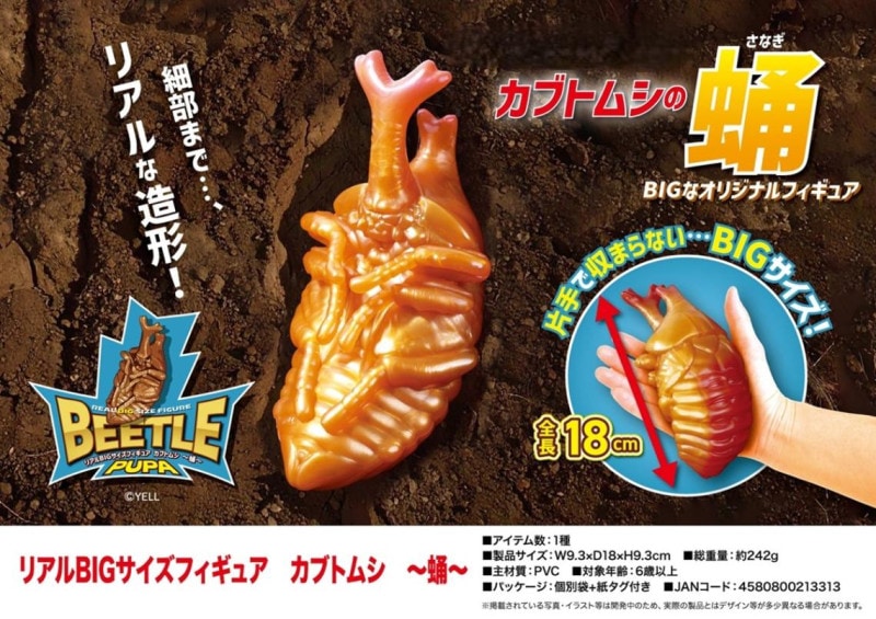 リアルBIGサイズフィギュア カブトムシ-蛹-（36個入） | フィギュア