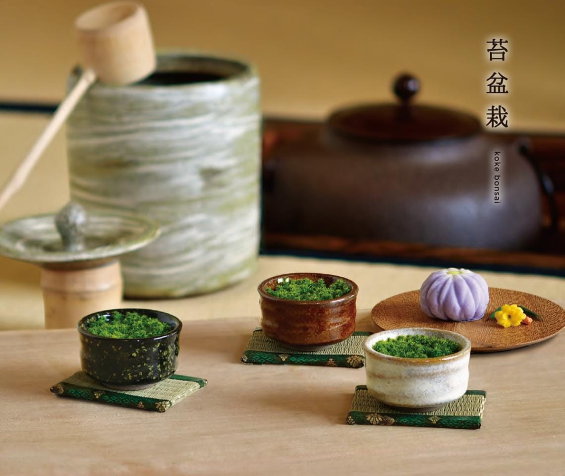 栽培セット」抹茶碗苔盆栽（18個入） | その他（Other） | TOYS VENDOR