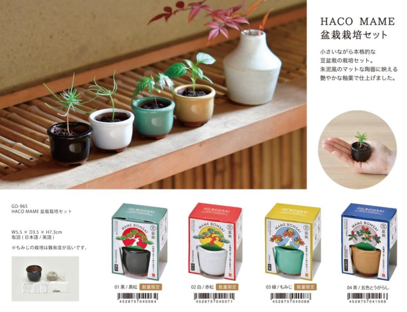 HACO MAME 盆栽栽培セット（36個入） | その他（Other） | TOYS VENDOR