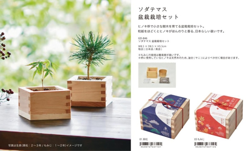 ソダテマス 盆栽栽培セット（18個入） | その他（Other） | TOYS