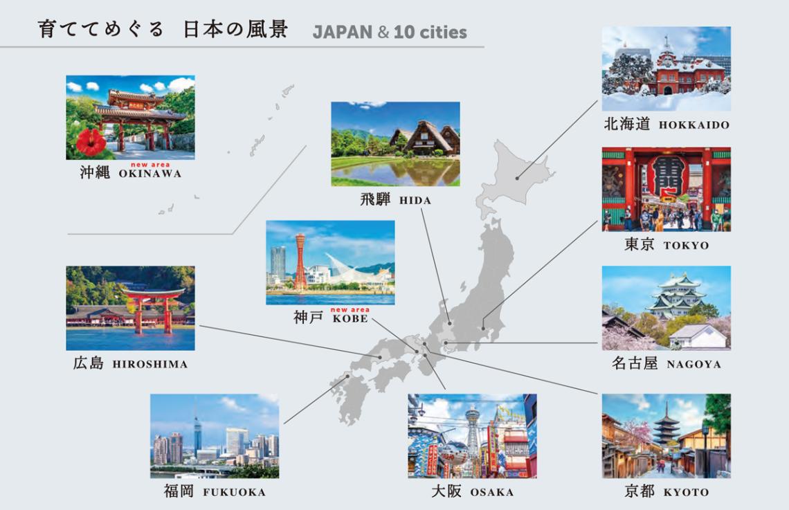 栽培セット」お芽でたおちょこ JAPAN（36個入） | その他（Other