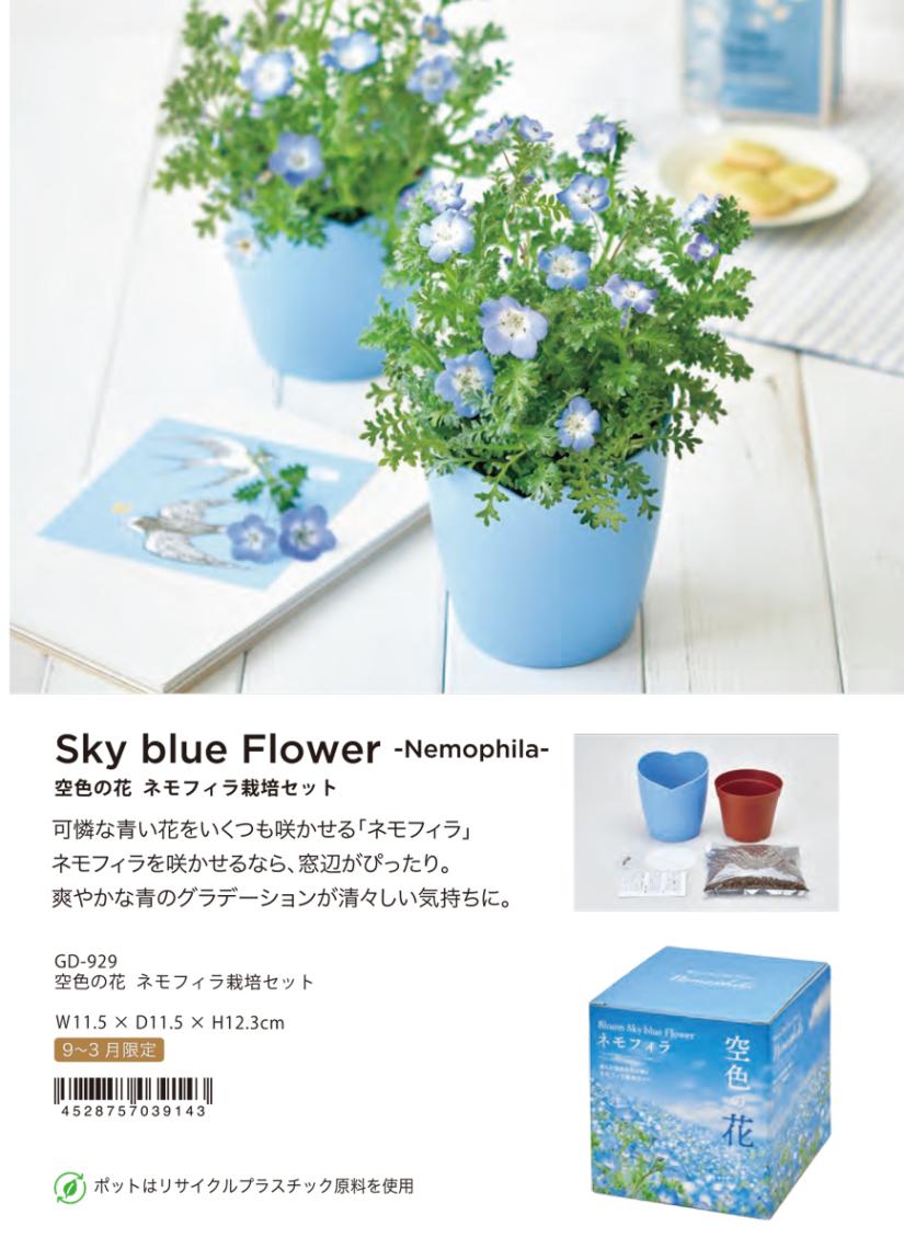 空色の花 ネモフィラ栽培セット（18個入） | その他（Other） | TOYS