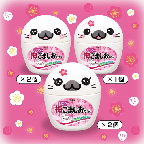 ごまちゃんさま専用ページ ラムさま専用 （ram様専用ページ （ラムちゃん様専用 （Miyuママ