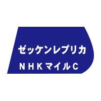 ゼッケンレプリカ【NHKマイルC】 | カテゴリー一覧,ゼッケンレプリカ