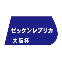 Amazon.co.jp: 匿名 第65回 大阪杯 レイパパレ モズベッロ コン