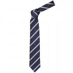 �ͥ������ڥ��ȥ饤�ץɥåȡ��ͥ��ӡ���