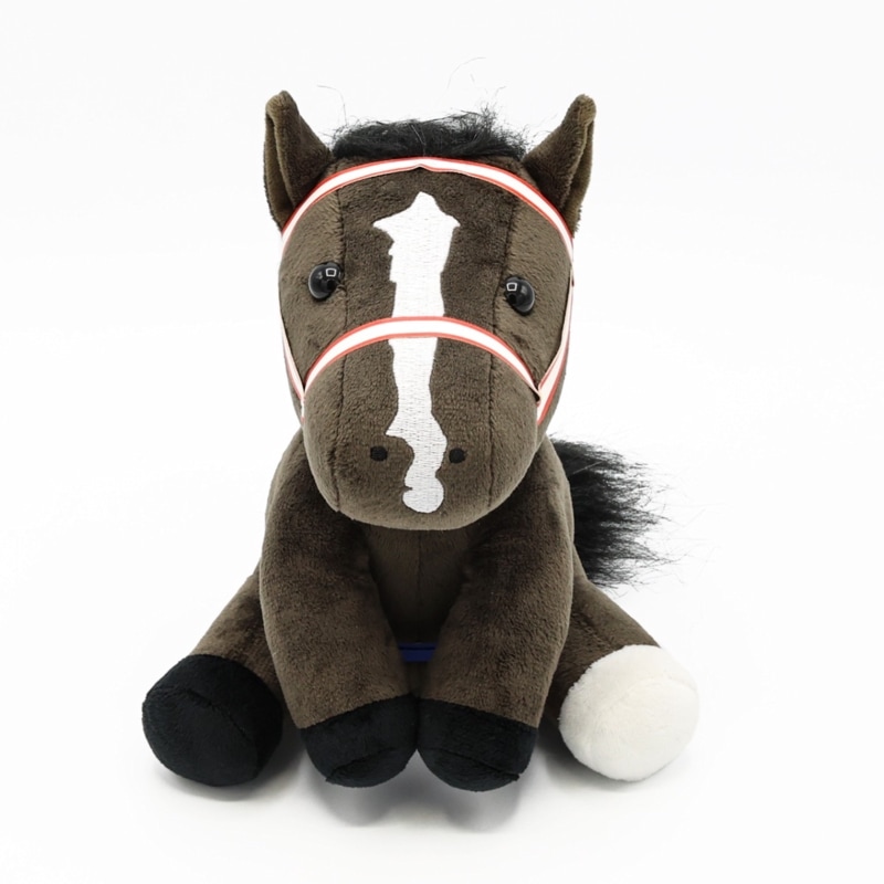 �����ɥ�ۡ����ڥꥹ���饷�塼/'19ͭ�ϵ�ǰ��(M������)