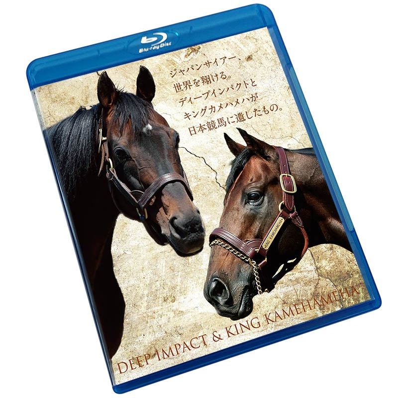 ディープインパクト キングカメハメハ追悼版blu Ray すべての商品 ターフィー通販クラブ ディープインパクト キングカメハメハ追悼版blu Ray すべての商品 ターフィー通販クラブ