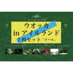 ̾ϥꥢե륻åȡ7ȡ˥å