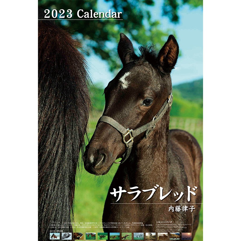 23年 内藤律子サラブレッドカレンダー すべての商品 ターフィー通販クラブ