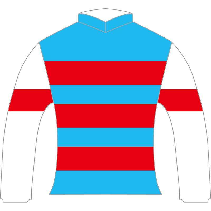 ＷＥＢ限定カラー有 勝負服レプリカ2021天皇賞（春）【ワールド