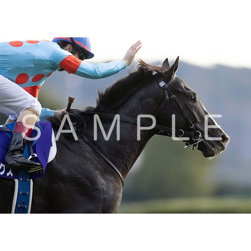 イクイノックス レースパネル 2022 天皇賞秋 【公式通販】