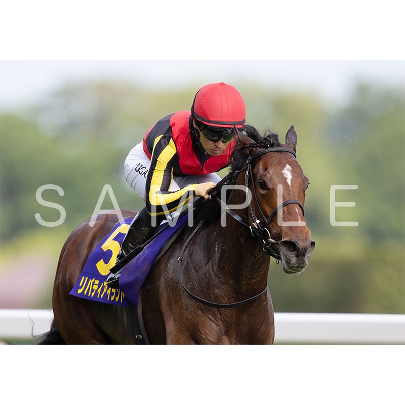 リバティアイランド競馬優勝記念品 G1オークス-