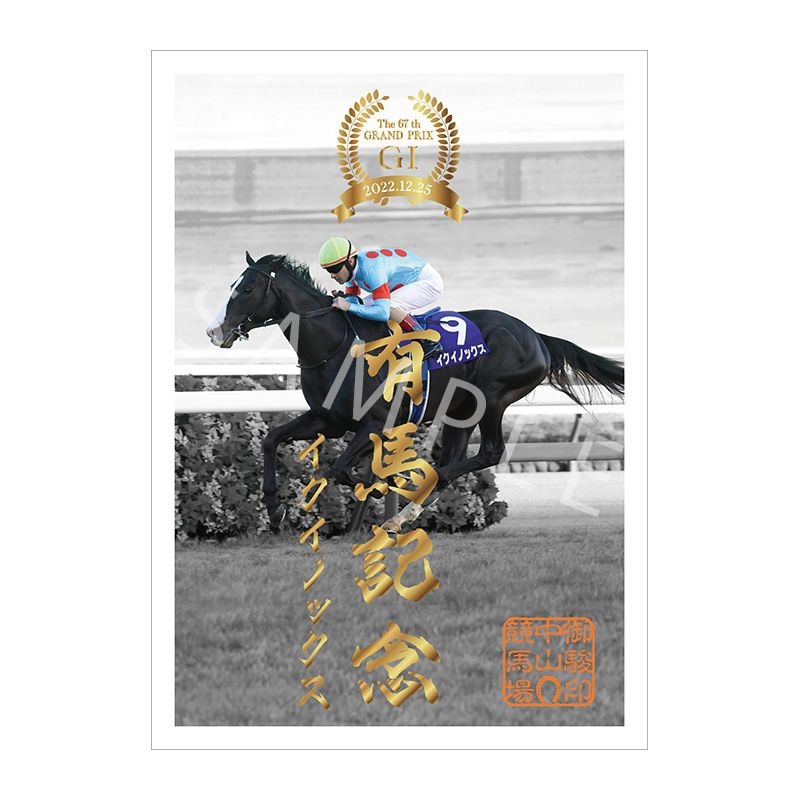 イクイノックス　2022 有馬記念　鬣　たてがみ　馬券　単勝　現地購入　的中 イクイノックス 2022 有馬記念 鬣 たてがみ 馬券 単勝 現地購入