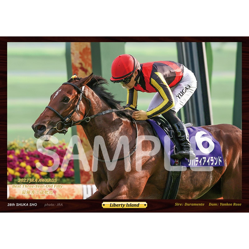 ǥեȡ'23ǯٺͥ3ϡХƥɡ