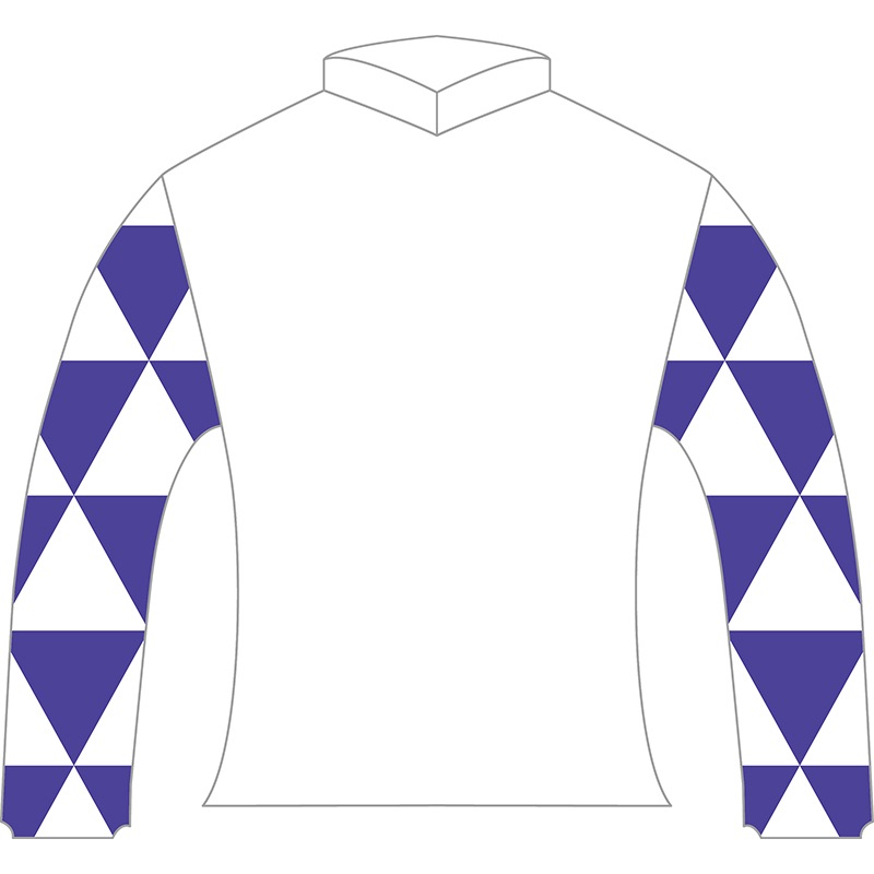 JRAポスター ペプチドナイル Amazon.co.jp: JRA非売品競馬ポスター 2018年JBCプロモーション