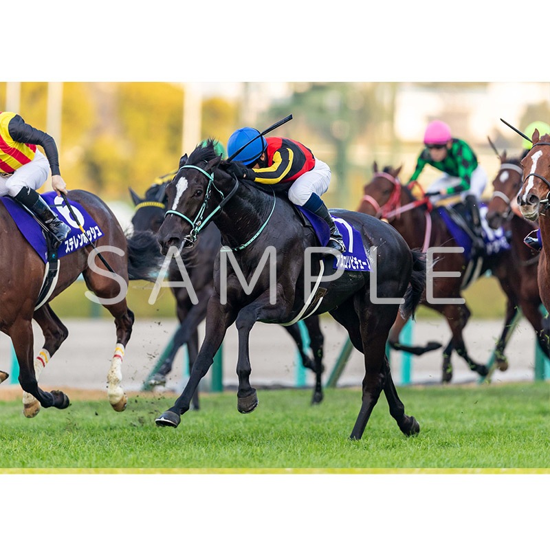 JRA VAN限定 エフフォーリア レーシングパネル JRA VAN限定 エフフォーリア レーシングパネル