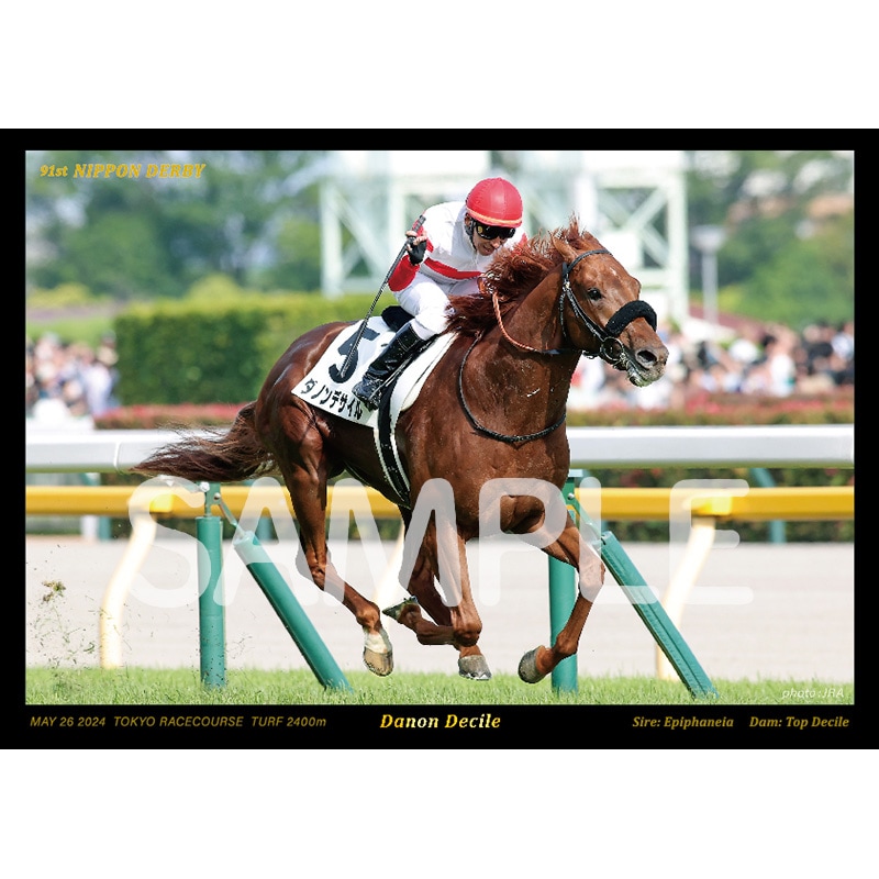 ⑱　競馬　JRA　◆　ダノンデサイル　◆　ゴルフマーカー　◆日本ダービー◆優勝馬 ⑱ 競馬 JRA ◇ ダノンデサイル ◇ ゴルフマーカー ◇日本ダービー◇優勝馬