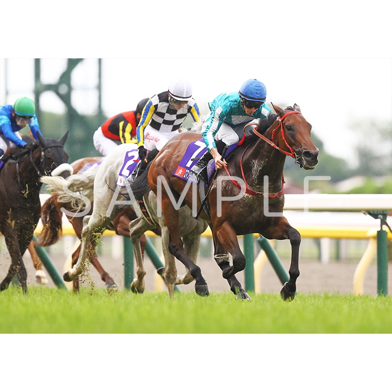 JRA VAN限定 エフフォーリア レーシングパネル JRA VAN限定 エフフォーリア レーシングパネル