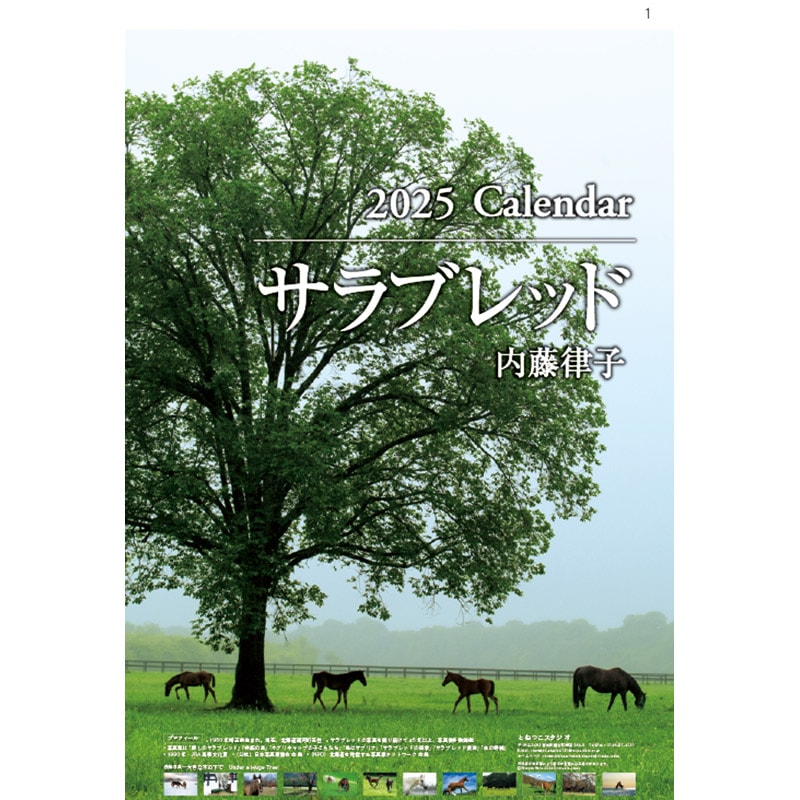 URHO TREE 170cm Antry / アントリー ウルホツリー Urho Tree（ウルホツリー）の組み立て方 — ANTRY USE ONLY GENUINE