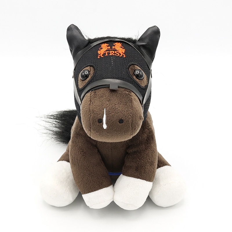 ɥۡڥ󥿥ޥ󥿥/'24NHKޥá(M)