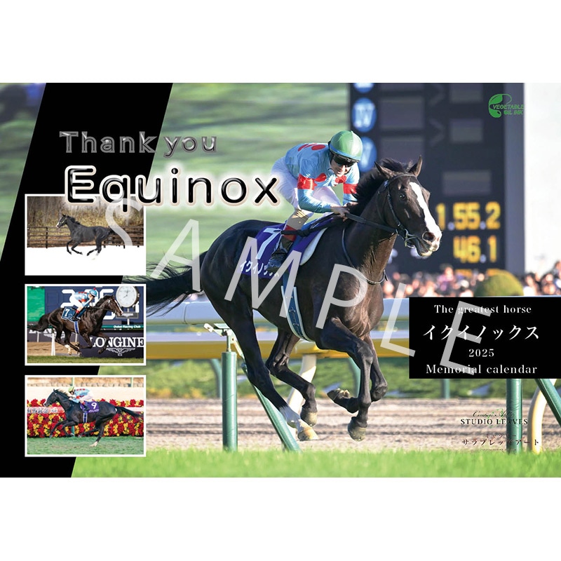 非売品イクイノックス JRA 卓上カレンダー JRAアニバーサリー