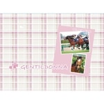 �֥�󥱥åȡڥ�����ƥ���ɥ�ʡ�