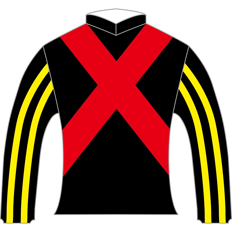 JRA 競馬 レプリカ 勝負服 ダイワメジャー 大城オーナー 新品未使用 レア 000000006819_8IJTp7X.jpg