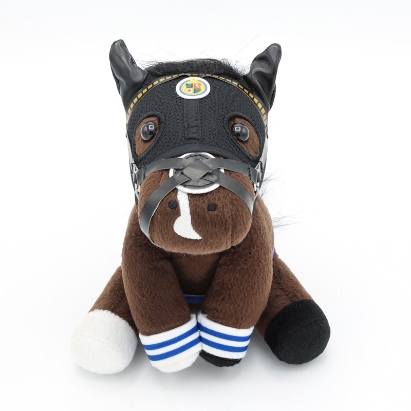 ɥۡڥȥۥ/'22͵ǰ(M)