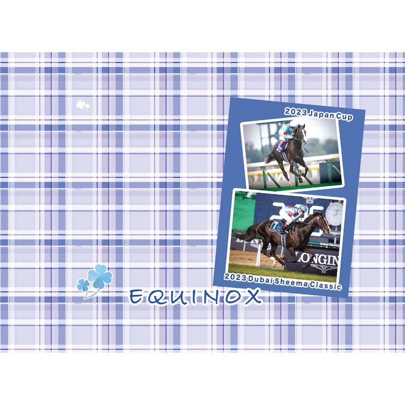 新品未使用】イクイノックス引退記念JRA公式競馬タオル
