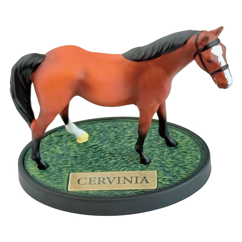 �ۡ����ե����奢�ڥ���������˥���