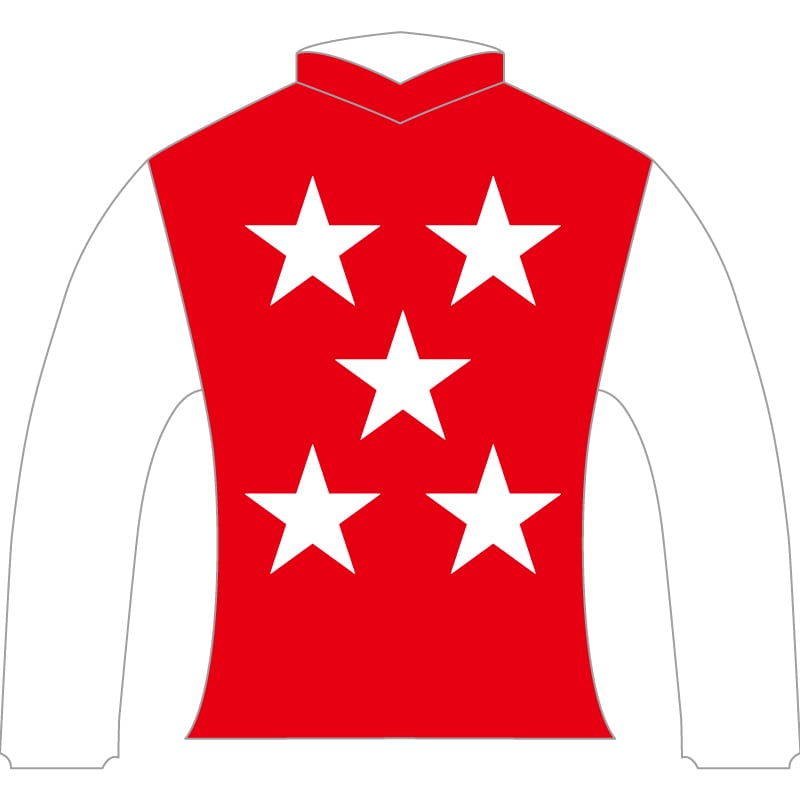 勝負服レプリカ2024阪神ジュベナイルフィリーズ【アルマヴェローチェ