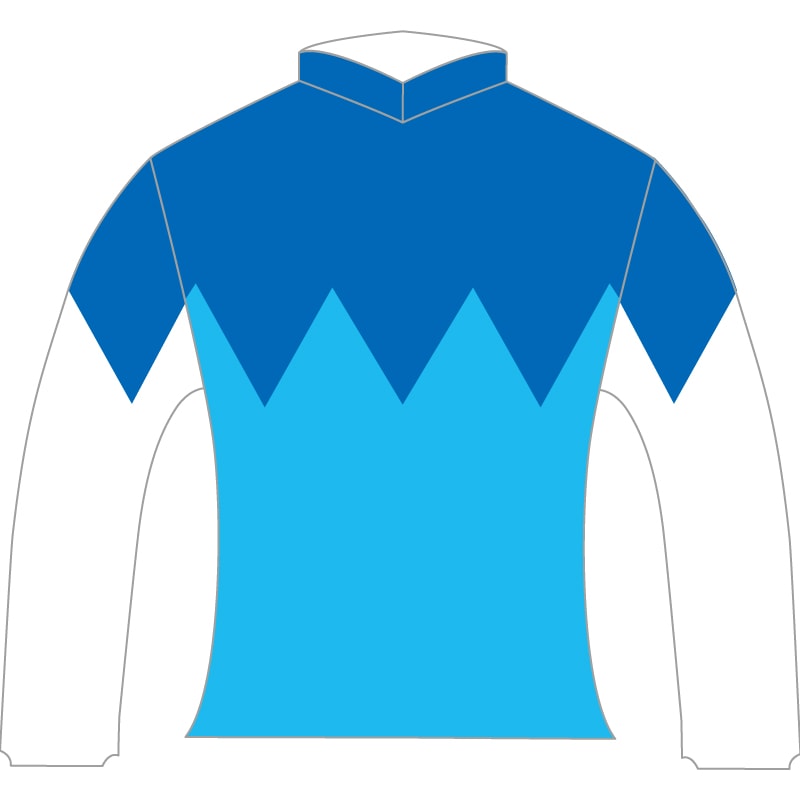 勝負服レプリカ2024朝日杯フューチュリティステークス【アドマイヤ