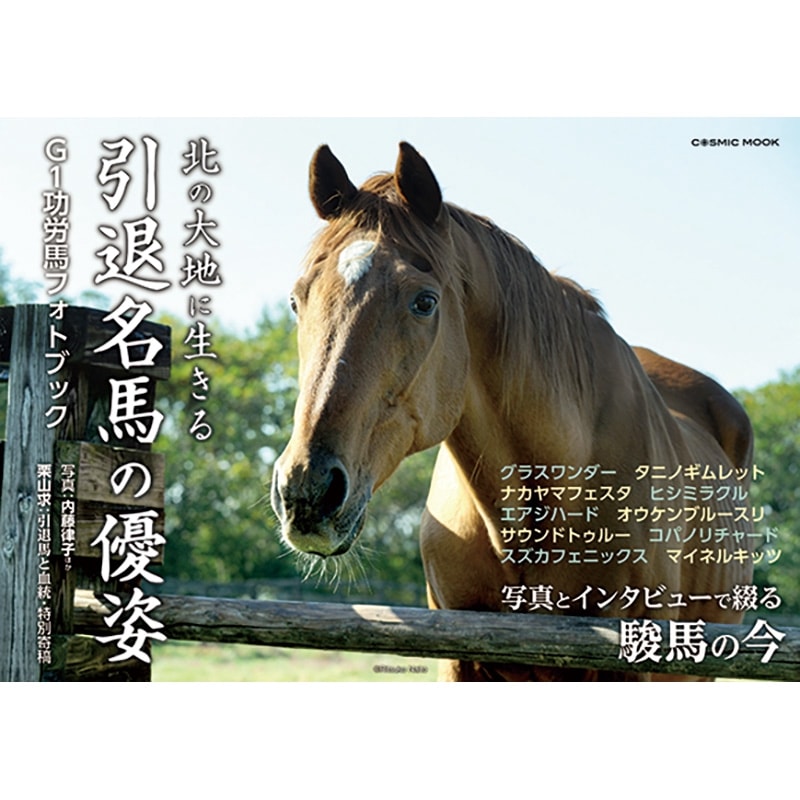 北の大地に生きる 引退名馬の優姿 | すべての商品 | ターフィー