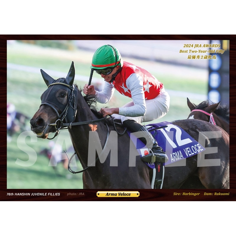 �ǥ��ե��ȡ�'24ǯ�ٺ�ͥ��2������/����ޥ�������������