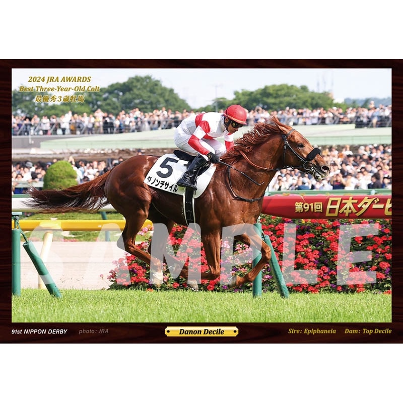 デジフォト【'24年度最優秀3歳牡馬/ダノンデサイル】 | すべての