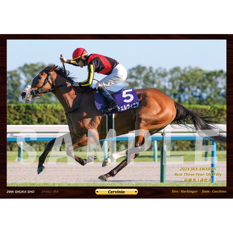 牝馬 デジフォト【'24年度最優秀3歳牝馬/チェルヴィニア】 | すべての商品