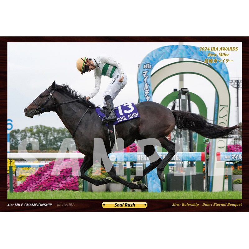 デジフォト【'24年度最優秀マイラー/ソウルラッシュ】 | カテゴリー