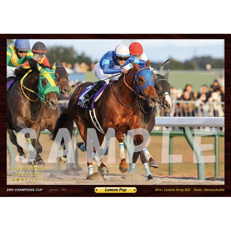 デジフォト【'24年度最優秀ダートホース/レモンポップ】 | すべての