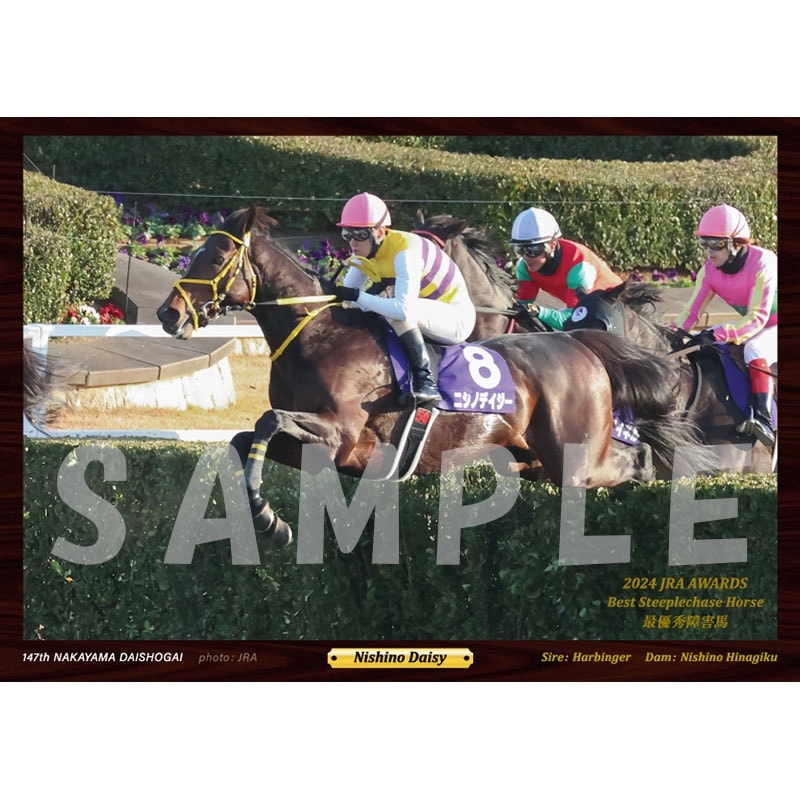 ダノンデサイル　競馬　JRA　ポスター　非売品　ノベルティ ダノンデサイル ポスター - メルカリ