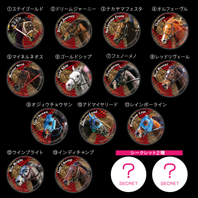 希少 烏は主を選ばない トレーディングメタルバッジBOX 金烏の紋章メタルバッジ 烏は主を選ばない】トレーディングメタルバッジ 56mm（BOX) | KTP